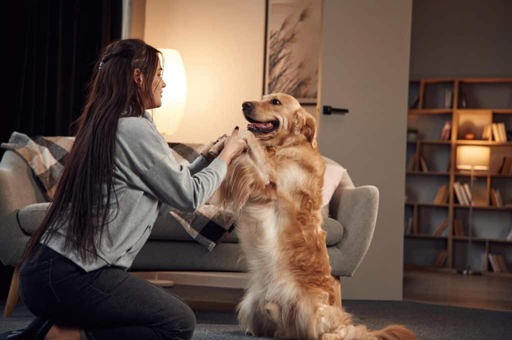 Pet Tech: Gadgets for Your Furry Friends