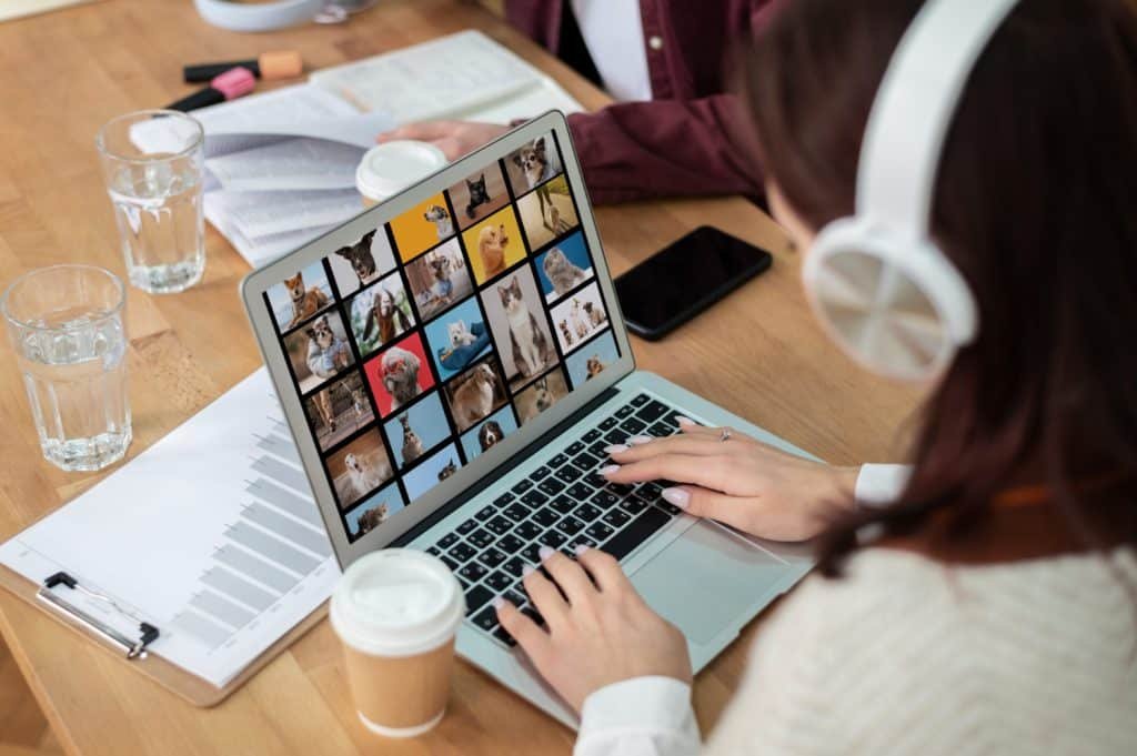 Diversifying Content: The Rise of Interactive Articles