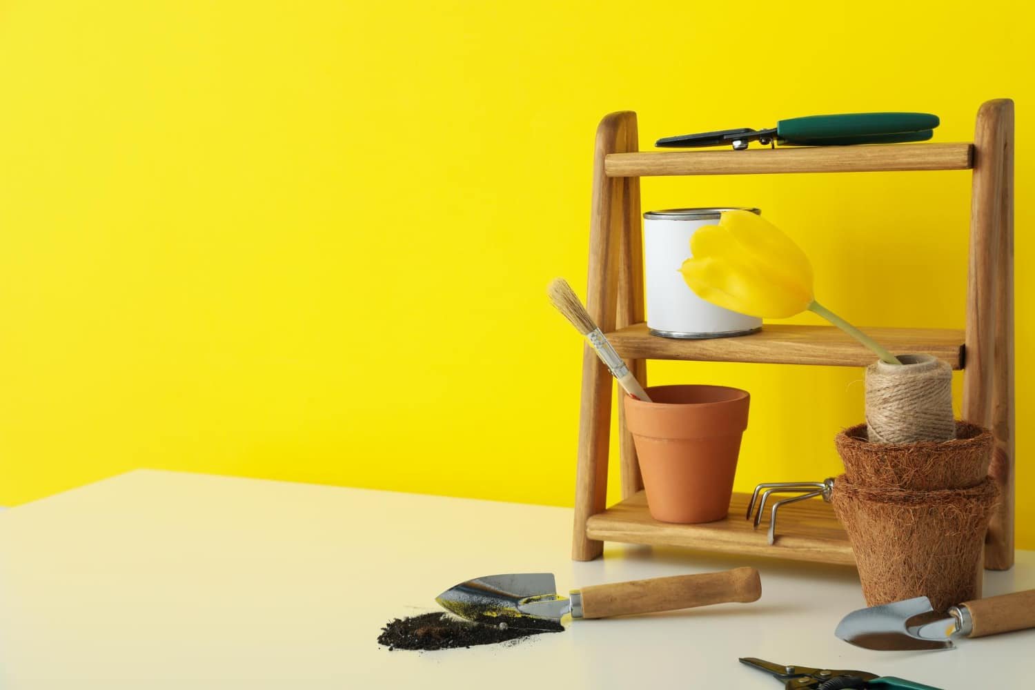 Read more about the article B & Q DIY and Garden: B & Q’s Home Improvement Essentials for 2024