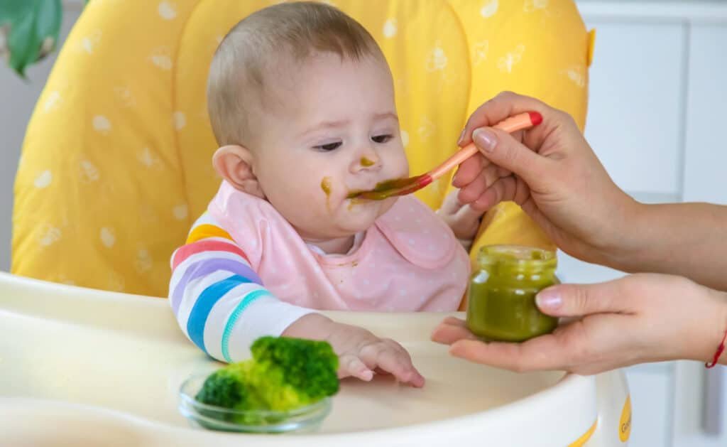 Little Spoon Inc: Nutritious and Convenient Baby Food Solutions