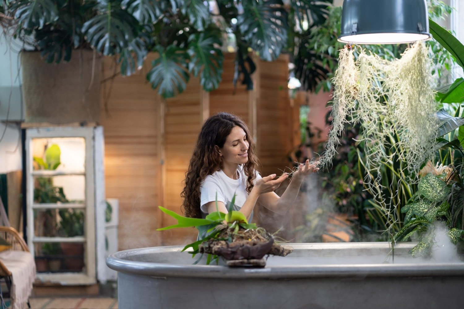 You are currently viewing Grow Your Garden With AeroGrow: Indoor Gardening Made Easy In 2024