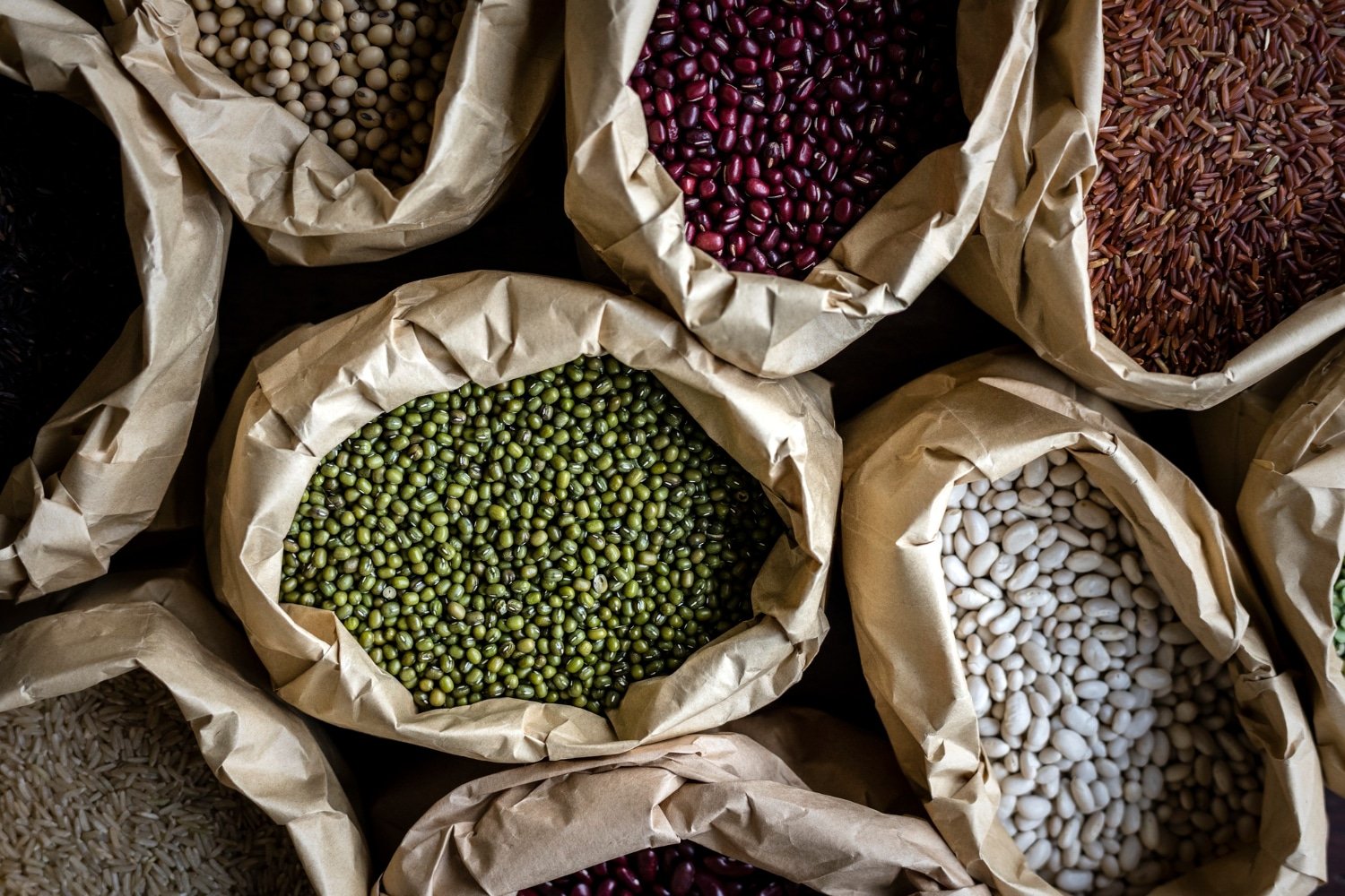 Grow Your Garden with Territorial Seed Company: Heirloom and Organic Seeds for 2024
