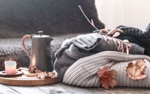 Read more about the article Cozy Up: Faribault Woolen Mill’s 2024 Woven Goods