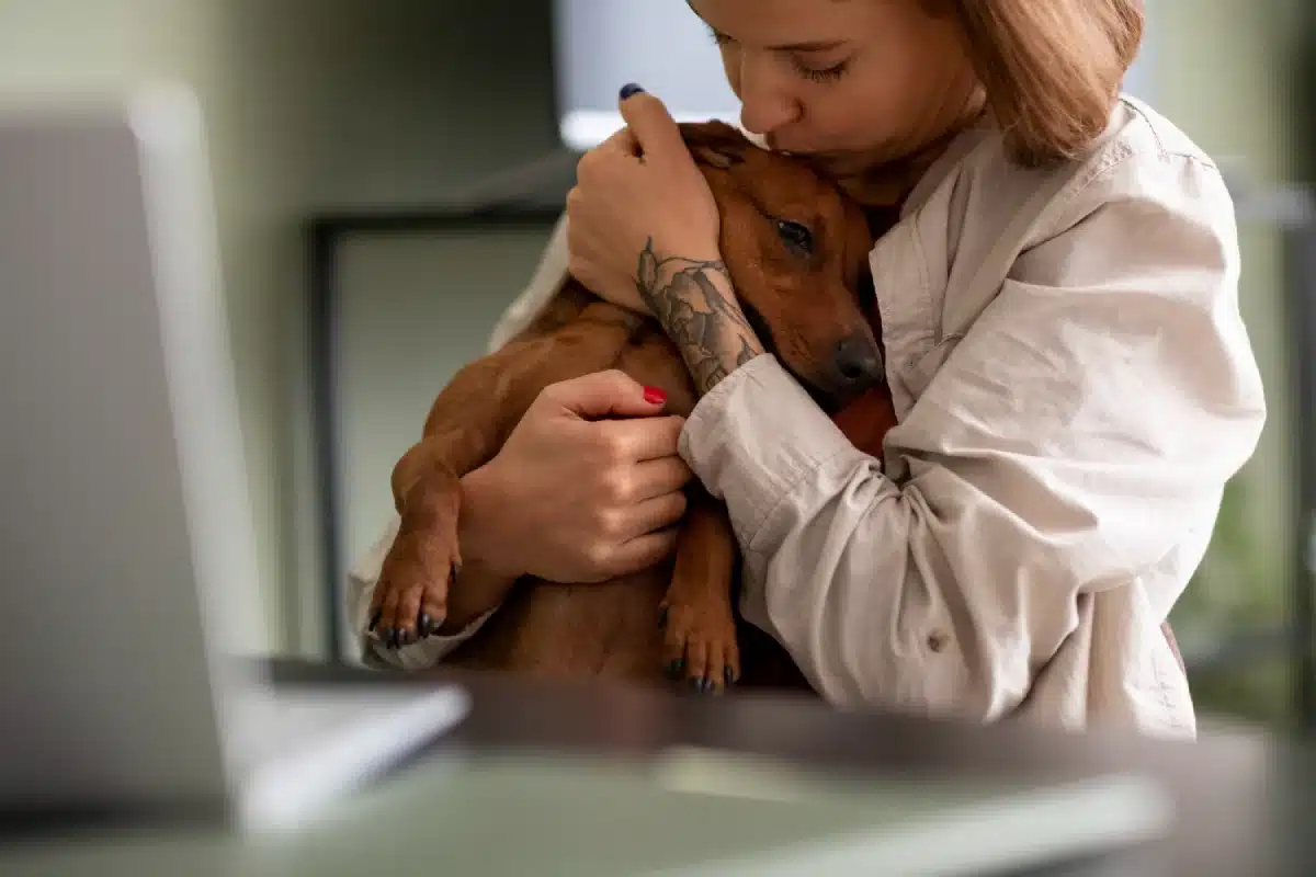 Care for Your Pets with Ellevet Sciences