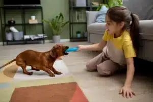 Read more about the article Stay Active with Cheerble’s Interactive Pet Toys