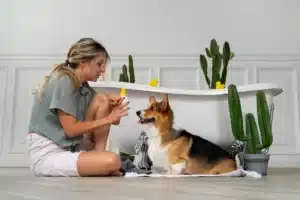 Read more about the article Treat Your Pet To Nutritious And Wholesome Meals With Lily’s Kitchen’s Natural Recipes