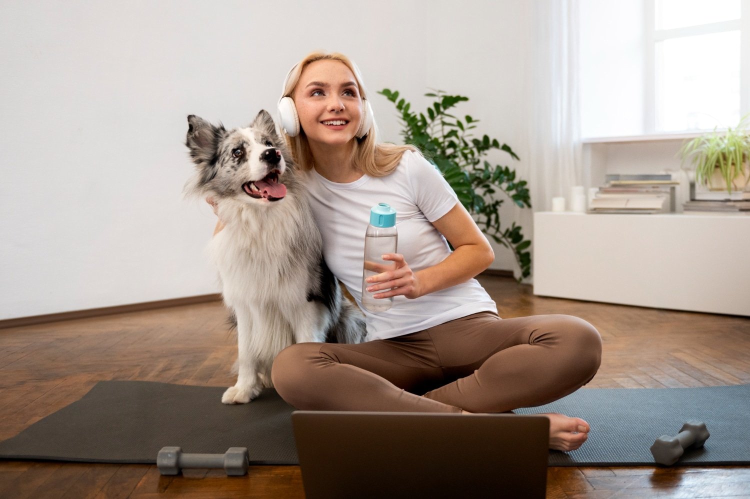 Find Everything For Your Pet At Petness – Loja de animais online