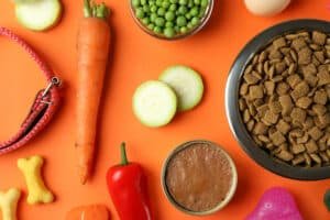 Read more about the article Pet Nutrition: Pooch and Mutt’s 2024 Health-Boosting Dog Foods