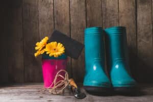 Read more about the article Brave the Elements with Wind and Weather: Weather Instruments and Garden Decor in 2024