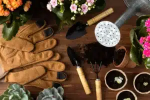 Read more about the article Garden Supplies from Keen Gardener