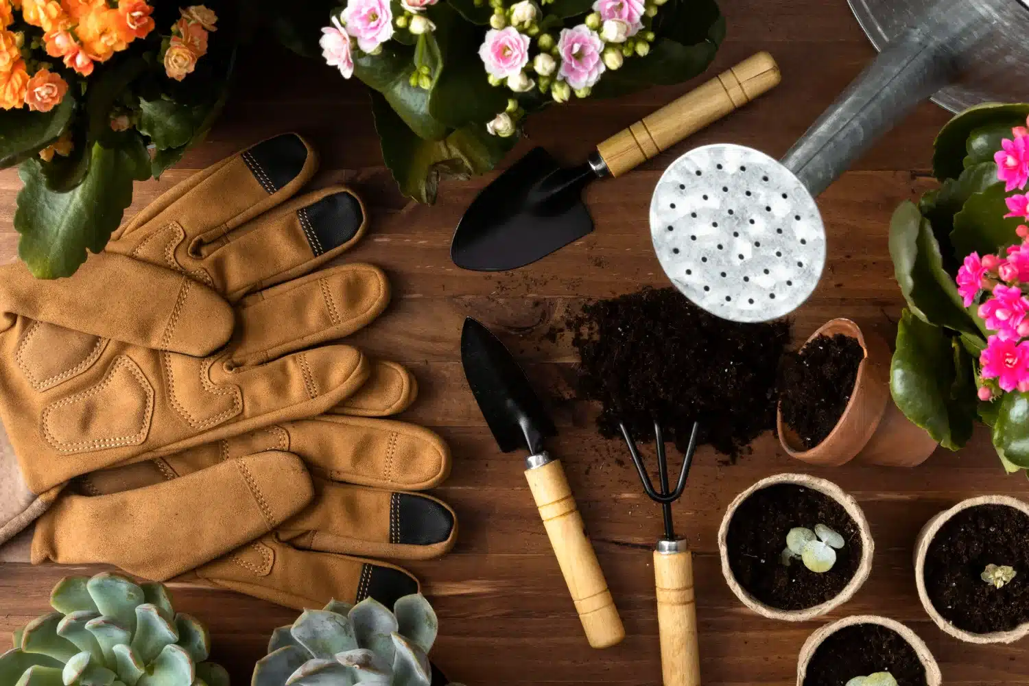 Garden Supplies from Keen Gardener