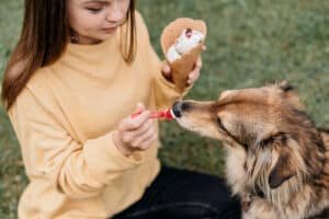 Read more about the article Pet CBD Products by Pet Releaf