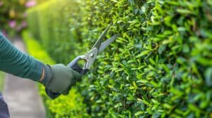 Read more about the article Quality Lawn Care Products by Just Lawnmowers