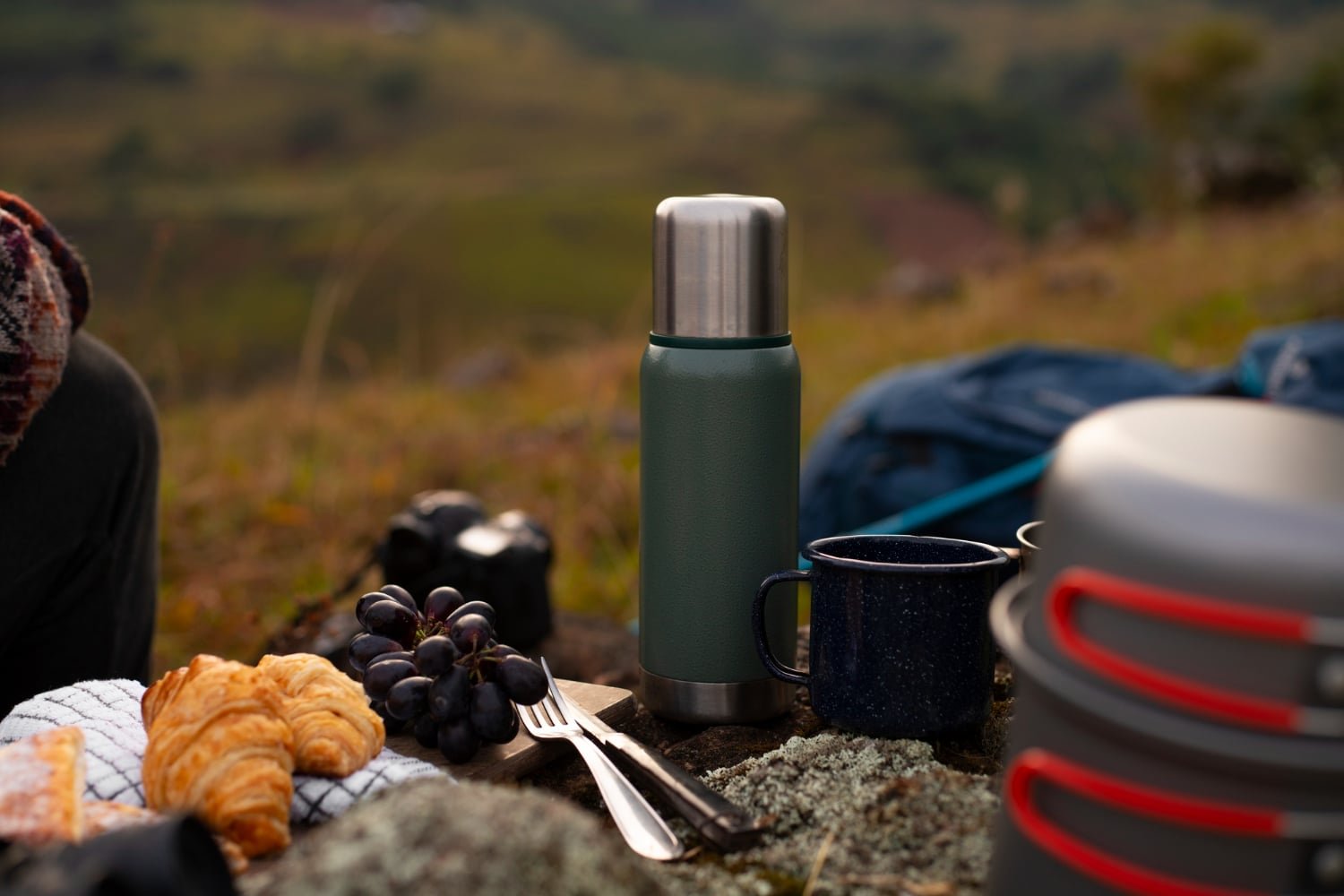 You are currently viewing Keep Your Food And Drinks Perfectly Chilled With Thermos L.L.C.’s Reliable Insulated Products