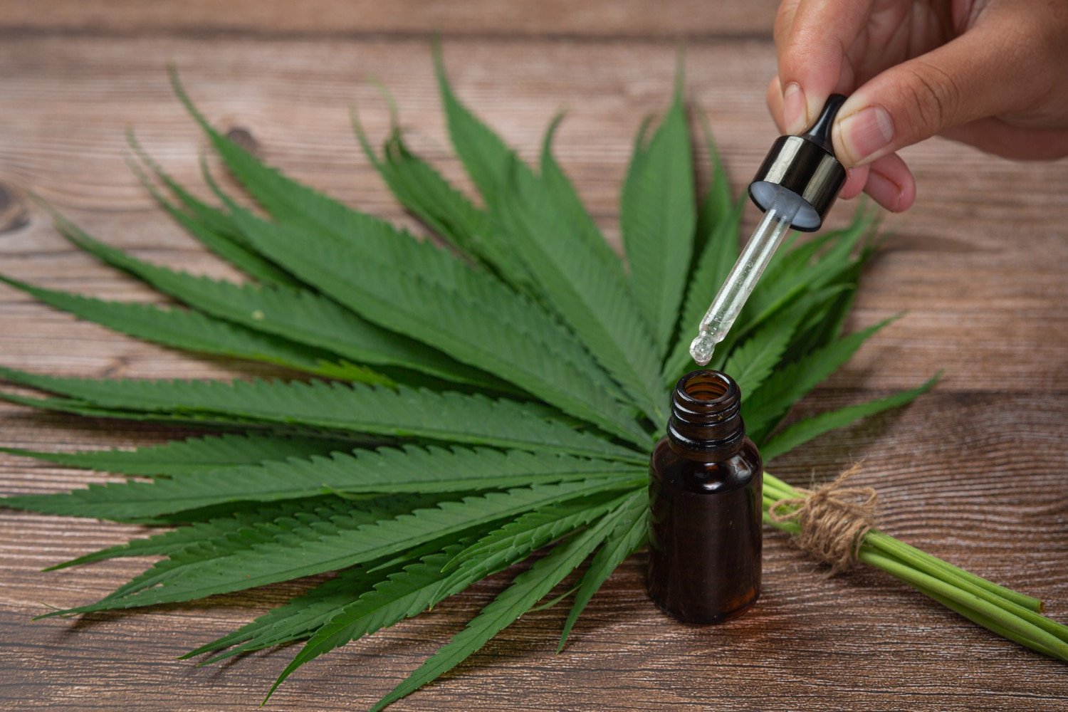 Hometown Hero: The Best Veteran-Supporting CBD and Delta-8 Products for Relaxation